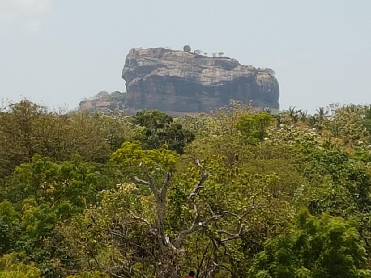 Sigiri Heritage Villa Sigiriya Exterior foto